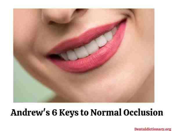 Andrew’s Six Key to Normal Occlusion